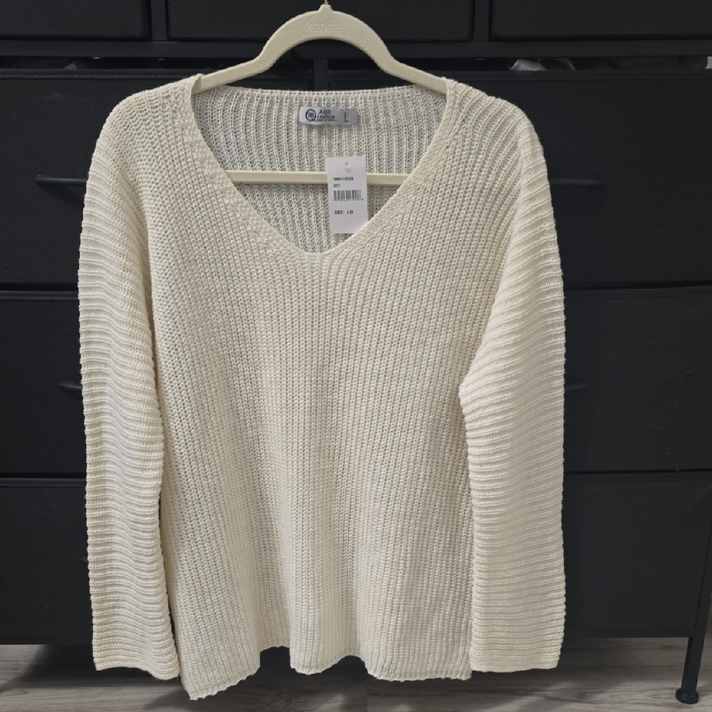 🔥4 for $25-Chunky Knit Cream V-Neck Sweater